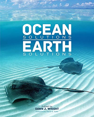 Ocean Solutions, Earth Solutions view 2