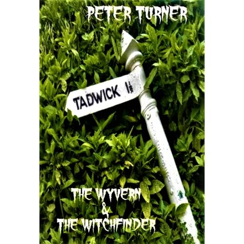 The Wyvern & The Witchfinder Audiolibro Por Peter Turner arte de portada