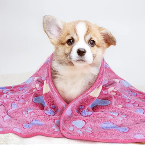 LeapSheep Pet Blankets for Dogs Cats - 3Pack Heart Pattern Super Soft Fluffy Dog Blankets for Small Medium Large Doggy Kitten (Heart, Small) - Image 8