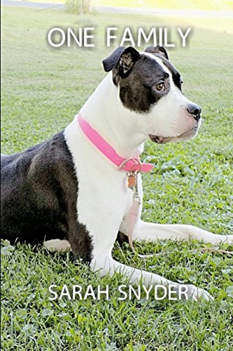 Preisvergleich Produktbild ONE FAMILY (Caps Lock Books, Band 3)