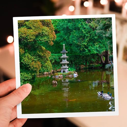 Greeting Card - USA, California. Japanese Tea Garden, Golden Gate Park, San Francisco. - Anna Miller - Japanese Gardens