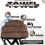 GC GAVENO CAVAILIA New Hampton Pack of 4 Bath Towel Set, 100% Ringspun Cotton, Extra Absorbent 450 GSM Luxury Bath Sheets, Natural, 4PK - Image 3