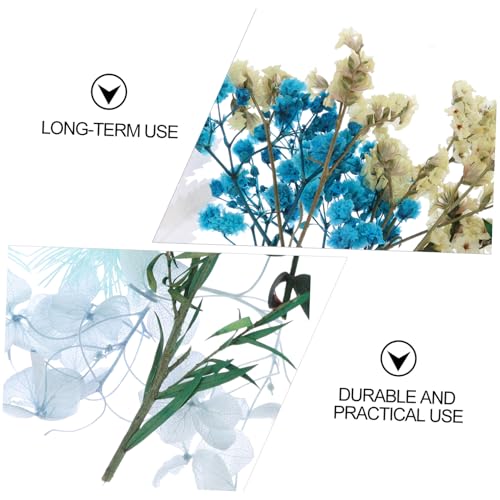 Set natural de flores secas prensadas para arte DIY miniatura 6