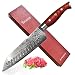 SEDGE Santoku Knife 7 Inch - Japanese Dragon Pattern Damascus AUS-10V High Carbon Steel - Ergonomic G10 Handle with with Exquisite Gift Box - SD-R Series