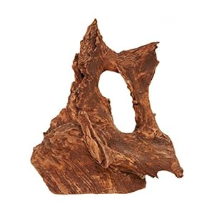 Dehner Acquario Acquario Decorazione Radice Mangrova Media Altezza Circa 30-40 cm Marrone