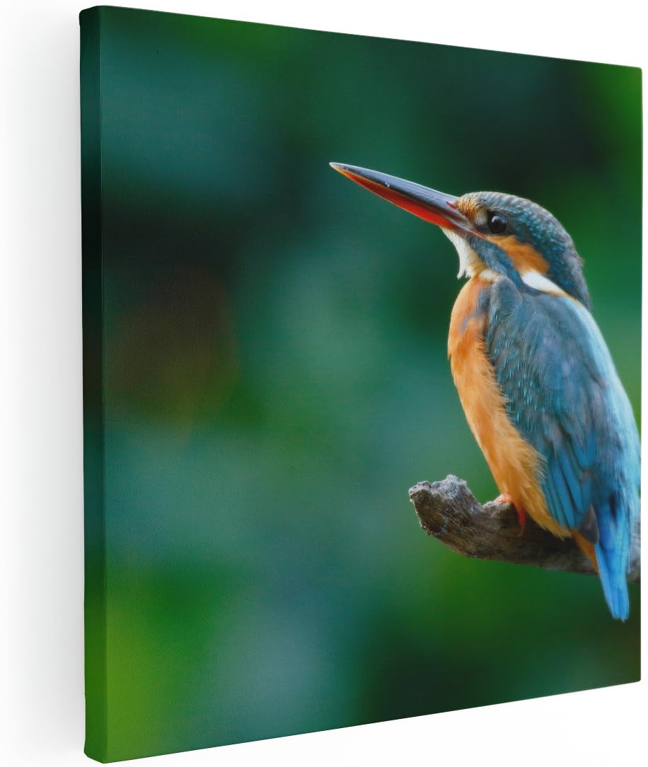 Artaza Leinwand Bilder Eisvogel - 90x90 cm - Groß XXL - Wanddeko Wohnzimmer - Naturbilder Vogel - Wandbilder Wald - Blau