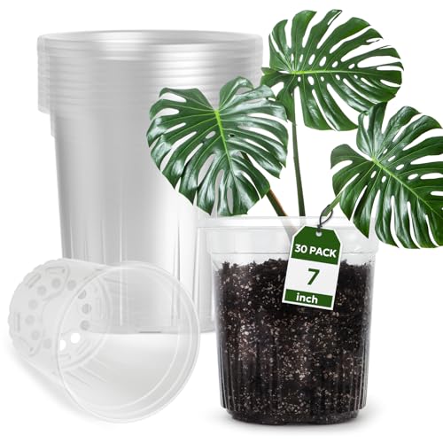 Bluepro 30 Packs 1 Gallon Reinforced Clear Nursery Pots with Drainage Holes 7 Inch Transparent Plastic Plant Pot Seedling Planter for Vegetable Propagation Root Cutting Seed Starting