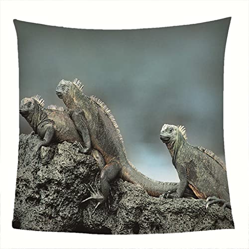 YTTOMG Manta Bebe termica Recien Nacido Lagarto Animal Piedra 80*150cm/32x59inch Microfibra Super Suave Manta de sofá, Manta de sofá, Manta de Cama o Manta de Sala de Estar s Dormitorio de Adultos h