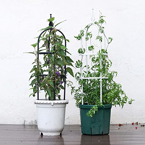 ~jIxXN  | x a15cm60cm, 90cm K[fA[` [YA[` 鐫A oRgX (ubN, zCg) (F : , TCY : H60cm (diameter 15cm))