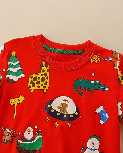 Image of AIWUHE Toddler Cotton Sweatshirt Boys Girls Pullover Long Sleeve Tops 2-6Y