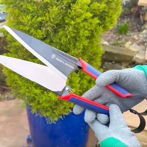 Tijeras para Topiaria Spear & Jackson 13" x 3.5" miniatura 4