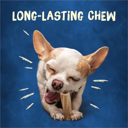 Purina Busy Bone Adult Toy Breed Dog Chew Bone Treats, Tiny - 60 ct. Pouch - Image 5
