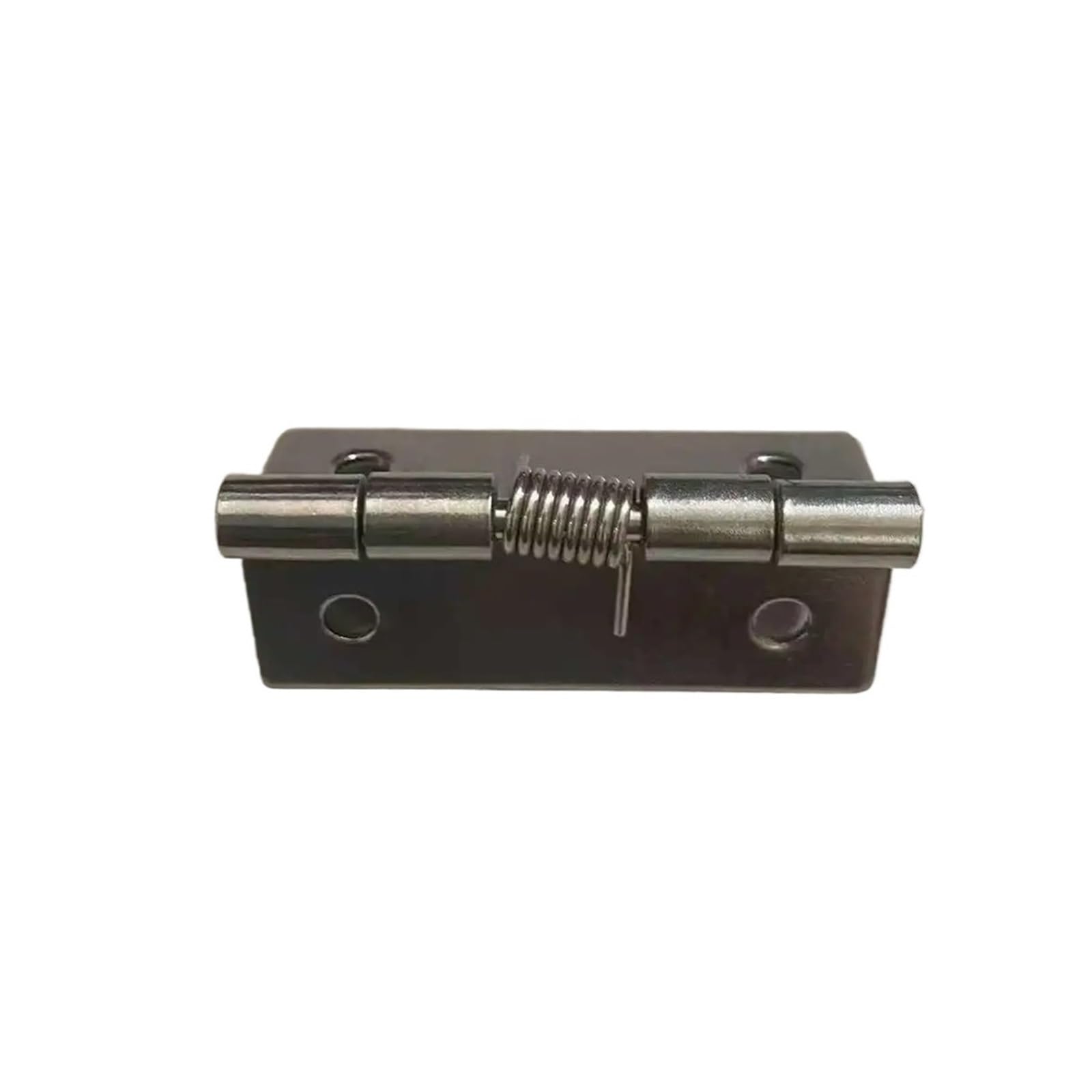 Wsqhao One Color 10Pcs Self Closing Spring Hinge 304 Stainless Steel Loaded Door Hardware Accessories For Doors(2 Inch)