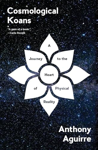 Cosmological Koans view 2
