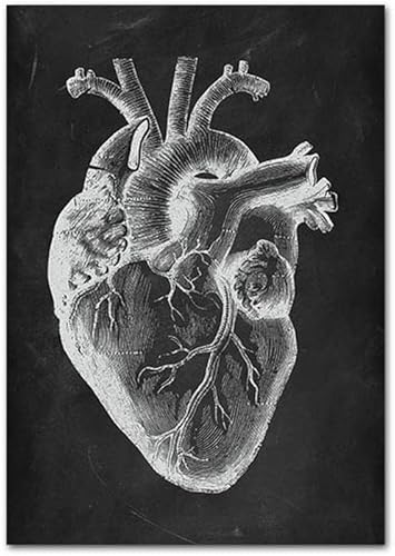 Miniatura 2 de Póster educativo de anatomía del corazón, órganos humanos, arte de pared, cuadro médico, clínica, médico, oficina, gimnasio, decoración, negro,