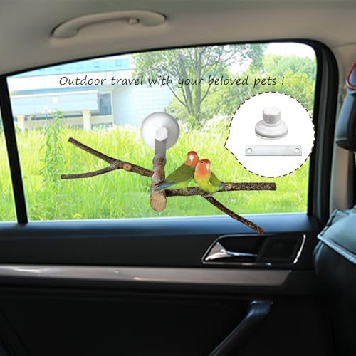 Image of 6 Pack Suction Cup Set for Bird Perches, Suitable for Parrot, Silver, White, ABS Plastic, Metal