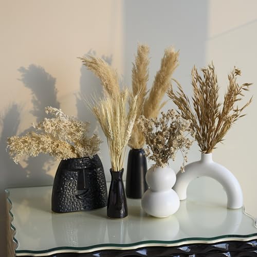 Image of 100 pcs Luxe Ivory Dried Flower Combo Set | Dried Grasses- Pampas, Avena Grass, Gypsy, Wheat & Natural Botanicals | Elegant Neutral Dcor for Vase & Home Styling