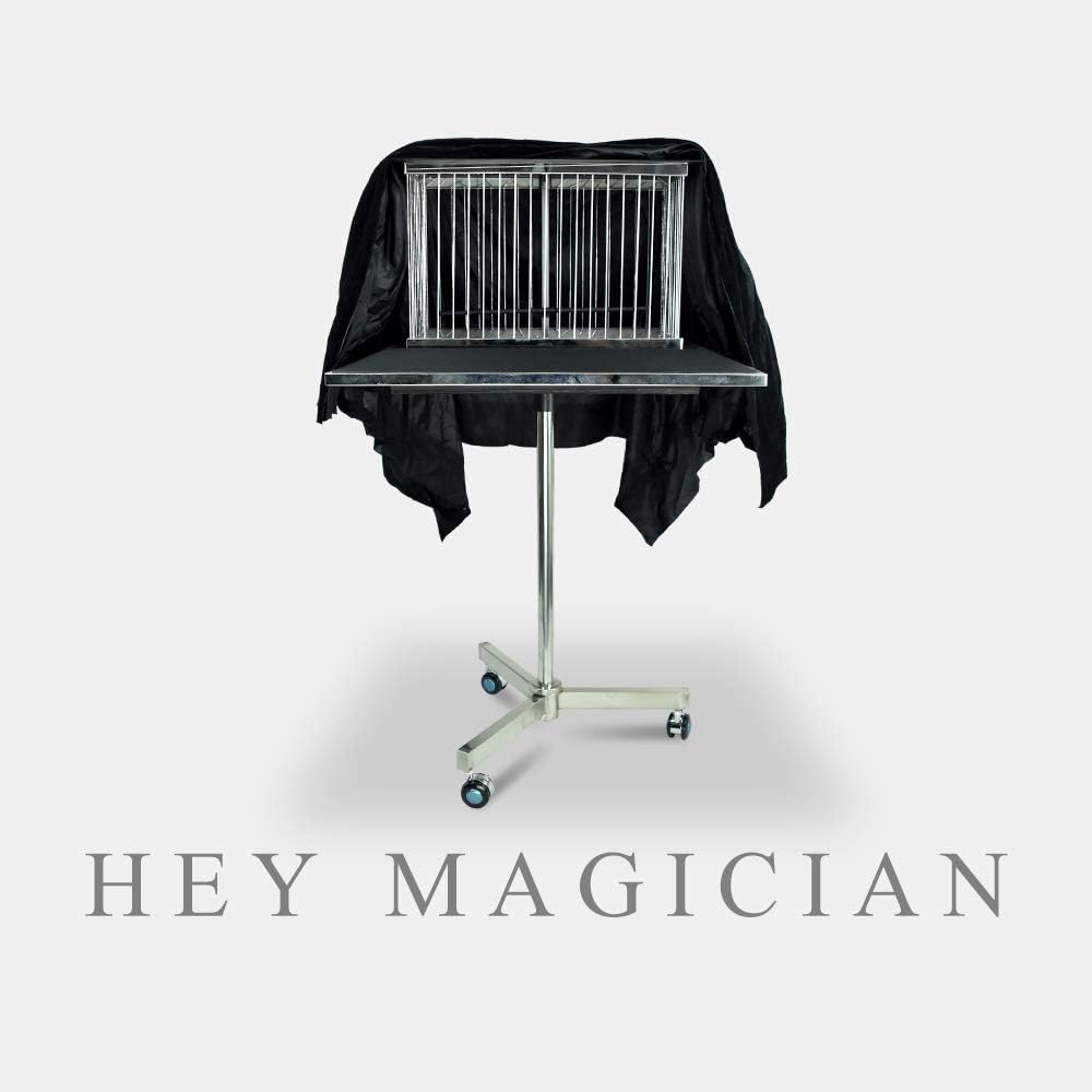 Vanishing Dove Cage Bird Cage Disappearing Table Magic Tricks Amazing Stage Magic Gimmick Illusions Props Comedy Magic Professional Magician Gimmick Magic Shows Magic Table Accessories