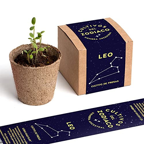 Cultivos del Zodiaco - Leo | Semillas de Fresa | Kit de cultivo con bomba de semillas, sustrato y maceta | Regalo original para amantes del horóscopo | Resetea Cultivos del Zodiaco - Leo | Semillas de Fresa | Kit de cultivo con bomba de semillas, sustrato y maceta | Regalo original para amantes del horóscopo | Resetea