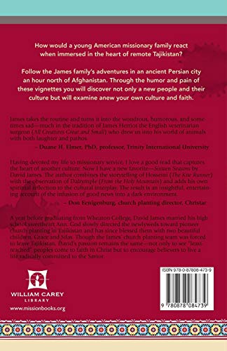 Sixteen Seasons: Stories from a Missionary Family in Tajikistan - Image 2