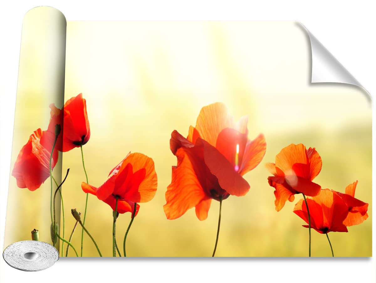 Papier peint moderne camouflage cacher un mur abîmé décoration Tulup 152x104