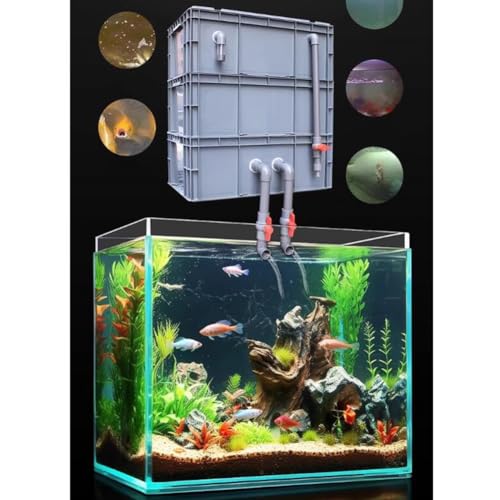 Filtre d'aquarium eau trouble solution boîtier externe sans pompe durable - 4