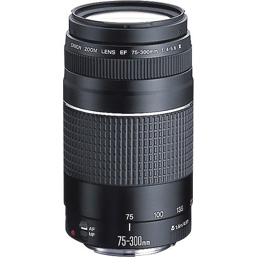 Image of Canon EOS Rebel T7 DSLR Camera with EF 18-55mm with EF 75-300mm Double Zoom Kit Bundle with 500mm Preset Telephoto Lens, 32GB Memory Card, Tripod, Paintshop Pro and Accessories (10 Items)