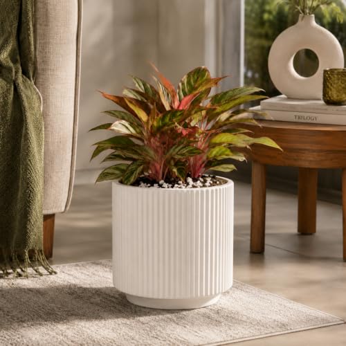 Image of elaris Elegant Ribbed Ceramic Planter for Indoor Plants | Contemporary Textured Flower Pot for Living Room, Bedroom, Office Desk, Shelf & Tabletop Decor (White) 3.74 inch