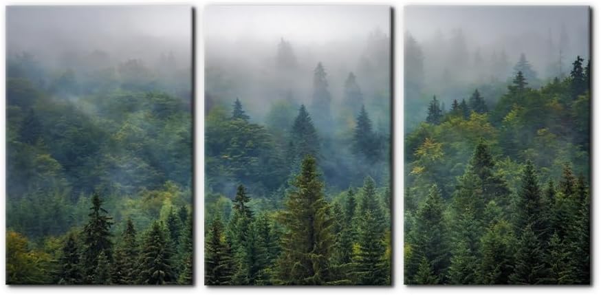 Pacimo Framed Canvas Wall Art Print Set Aerial View of Green Forest Modern Artwork for Walls Nature Wilderness Realism Rustic Landscape Colorful Print Decor for Living Room Bedroom Office - 16"x24"x3 Wallart-07 16" x 24" x 3 panels