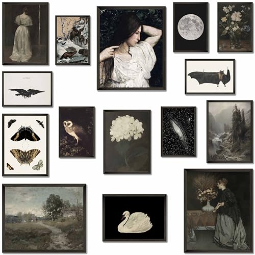 MAZUKO 15 Pcs Vintage Wall Art Decor, Victorian Gothic Wall