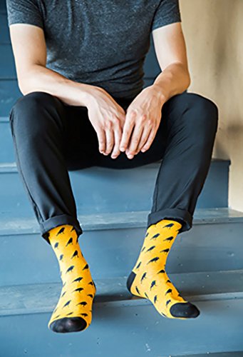 Wish Island Men's 5 Packs Fun Crazy Animal Novelty Casual Dress Socks (Crow 351) #TOP1