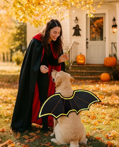 Disfraz Halloween alas de murciélago para perros S-M miniatura 5