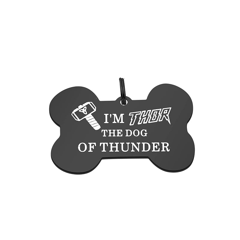 Plaquinha de identificação para cães em aço inoxidável Thor Dog of The Thunder ENSIANTH, 1 unidade