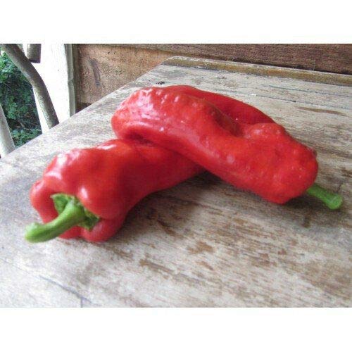 PLAT FIRM GerminaciÃ³n de Las Semillas: Paquete de la semilla choricero Cuerno de Cabra de la Herencia Pimienta Premium + Mã¡s