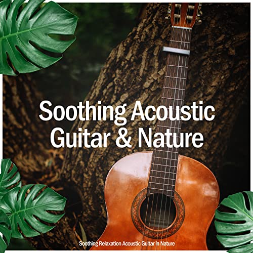 Best Waves Reverb For Acoustic Guitar Expert Review The Modern Record