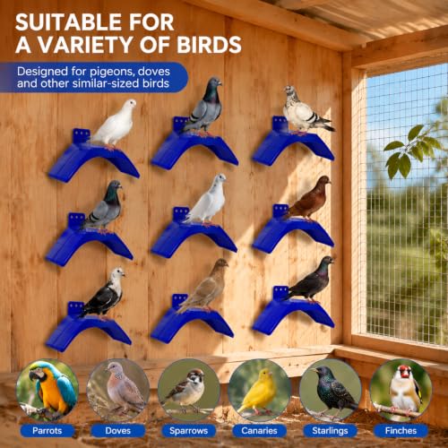 Image of Coloch 20 Pcs Dove Rest Stand, Lightweight Pigeon Perches Plastic Birds Roost Holder, Pigeons Dwelling Frame Birdcage Accessories for Parrots and Other Birds