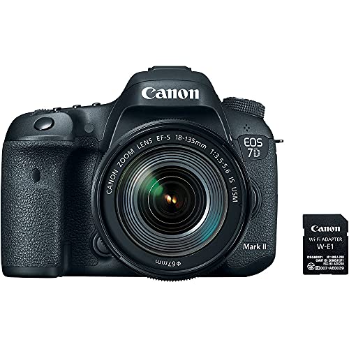Cámara Canon EOS 7D Mark II con lentes y accesorios miniatura 3