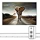 Scenolia AFFRONTEMENT Deko Tafel mit dekorativen Bildern, 70 x 50 cm, mit HD-Qualität