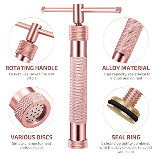 DOITOOL Aço Inoxidável Extrusora Extrusora de Barro Lama Com 20 Pcs Único Disco Pasta de Açúcar Fond