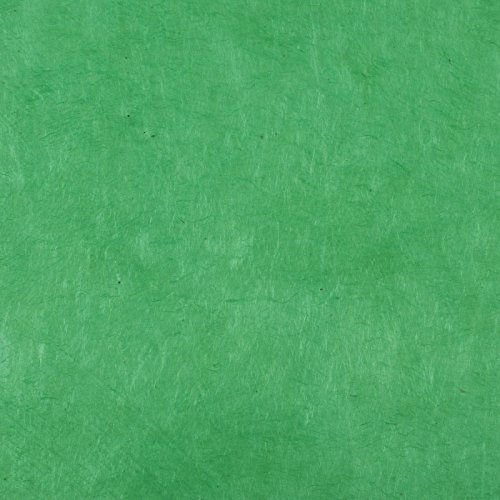 Oz Paper Tree - Papier népalais lokta vert chlorophyle - 80 gr/m2