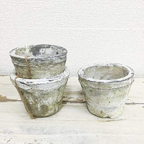 Amazon.co.jp: モスポット ホワイト3鉢 植木鉢 陶器鉢 テラコッタ鉢