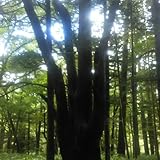 anthology 1 2013-2023