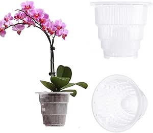 Macetas Transparentes Para Orquídeas - Pack De 2, 12.5cm