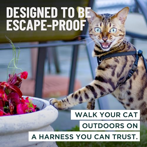 Houdini™ Escape Proof Cat Harness and Leash Set by OutdoorBengal – Black, Medium Cat Harness for Walking - Image 3