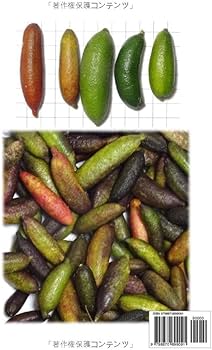 フィンガーライム: 1. フィンガーライムの 仲間と生態及び生育環境