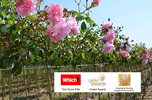 Biostretch Zachte Plantenbinders voor Huis en Tuinplanten - Milieuvriendelijke Rekbare Groene Plantensnaar en Tuindraad 2 Stuks (Bruin Bioband 20M x 1) - Afbeelding 3