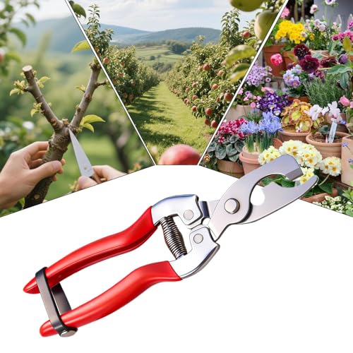 Bahçe Budama Makası,Paslanmaz Çelik Budama Makası - Bahçe,Bonsai Gül Dal Ağaç Çiçek Bitki Çim İçin