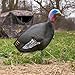 GJQ 4PCS Large Size Turkey Decoy Hunting Stakes, 14