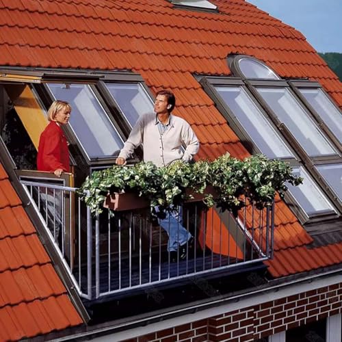 Ventana de techo para cobertizo y carpa que transforma su solárium en un espacio luminoso 2