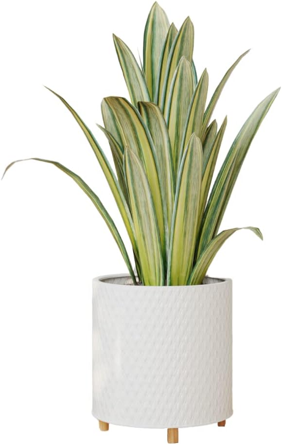 EverNest Claire Modern Indoor Plant Pot with Stand, White Pattern, 10 Inch, SelectBase, Neutral Mid-Century Modern Style, Metal Home Decor Planter (Medium, 2 Gallon)